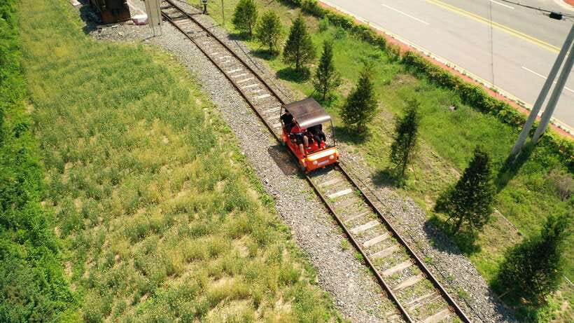 Seoul: Alpaca World and Nami Island (with Garden / Railbike) - Practical tips before you reserve
