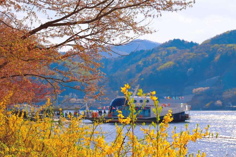 Seoul: Alpaca World & Nami Island optional Gangchon Railbike - Key points at a glance