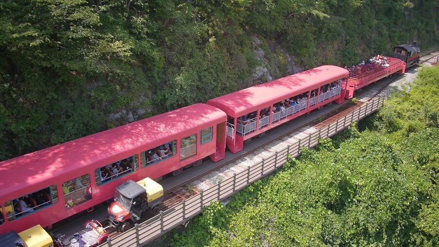 Seoul: Alpaca World & Nami Island optional Gangchon Railbike - The winter Eobi Ice Valley option