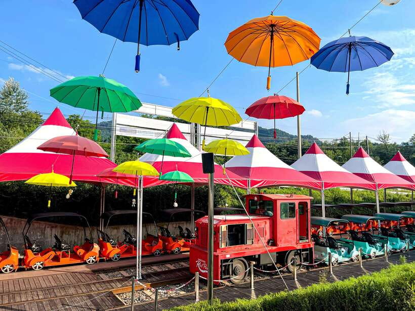 Seoul: Alpaca World & Nami Island optional Gangchon Railbike - Guides, languages, and group pacing