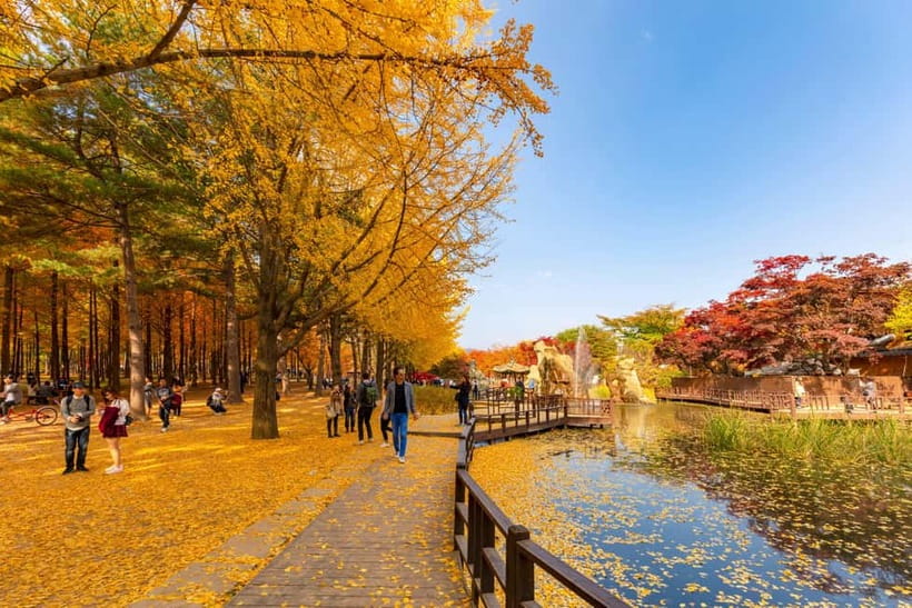 Seoul: Alpaca World & Nami Island optional Gangchon Railbike - What to bring and how to manage the day