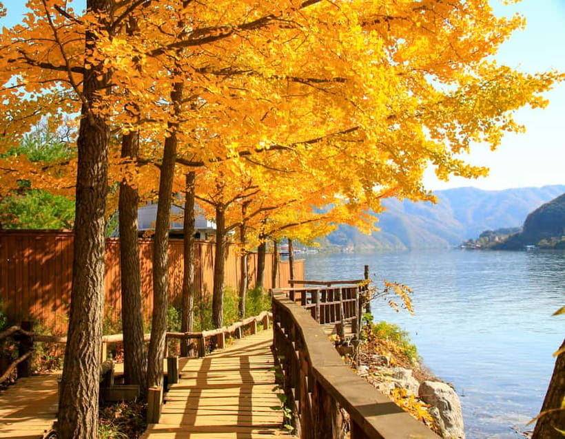 Seoul: Alpaca World & Nami Island optional Gangchon Railbike - Alpaca World: the most playful two hours