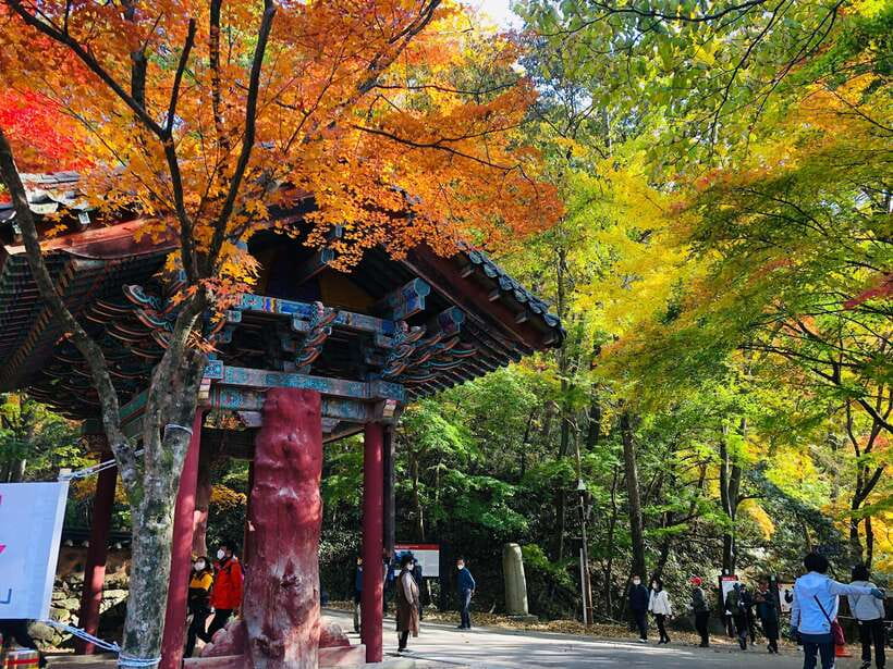 Seoul: Autumn Foliage - Mt. Naejang + Jeonju Hanok Village - Why this Seoul day trip works in autumn