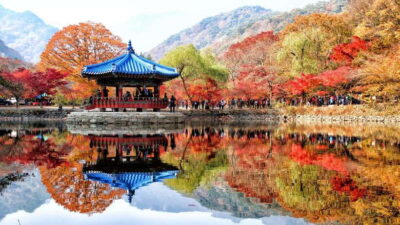 Autumn Foliage – Mt. Naejang + Jeonju Hanok Village