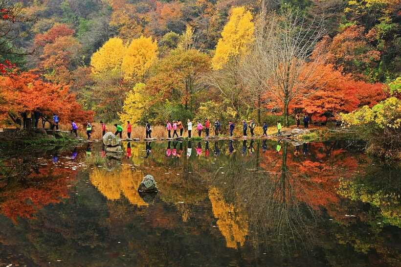 Seoul: Autumn Foliage - Mt. Naejang + Jeonju Hanok Village - What makes Jeonju Hanok Village different