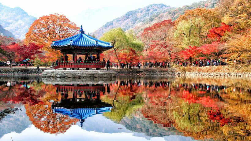 Seoul: Autumn Foliage - Mt. Naejang + Jeonju Hanok Village - Who will enjoy this outing most