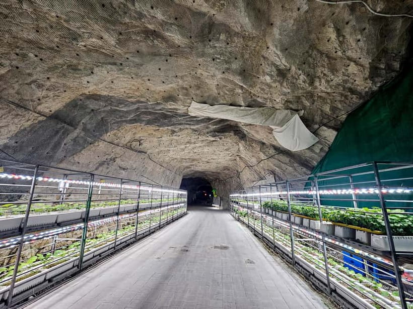 Seoul: Chungju Cruise, Cable Car & Cave Kayak Adventure Tour - Entering Hwalok Cave by kayak
