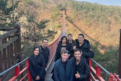 Seoul City Private Tour (Optional : Seoul, DMZ, Nami Island)