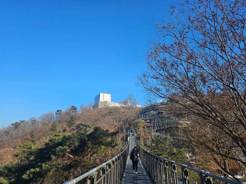 Seoul: Closest DMZ Observatory with North Korea View (1.4km) - The guide can shape the whole experience