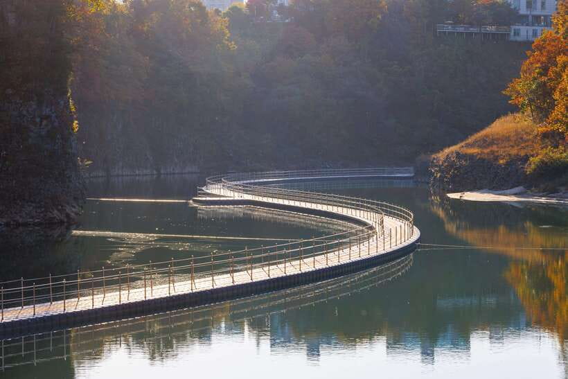 Seoul: DMZ 2nd Tunnel and Suspension Bridge Tour - Migratory birds and the Hantan River Geopark