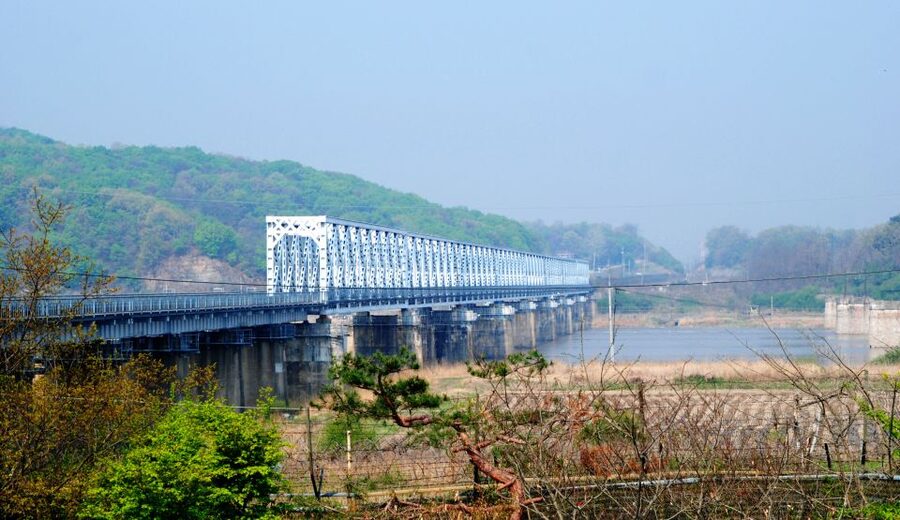 Seoul: DMZ, Gyeongbokgung Palace & City Tour - Entering the DMZ with a professional guide