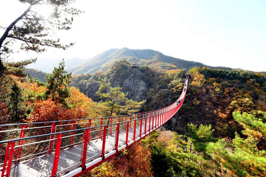 Seoul: DMZ Tour with Optional Suspension Bridge - The DMZ Theater and Exhibition Hall