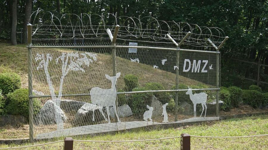 Seoul: DMZ Tour with Optional Suspension Bridge - Gamaksan Suspension Bridge: the active option
