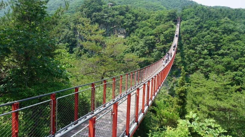 Seoul: DMZ Tour with Optional Suspension Bridge - Imjingak Park and the Bridge of Freedom