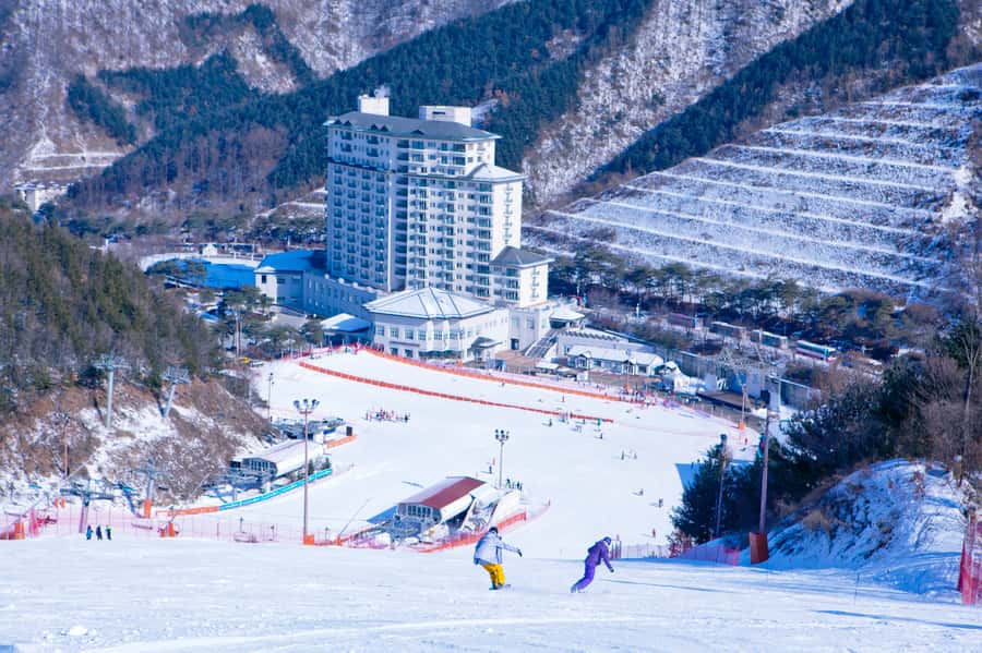 Seoul: Elysian Gangchon Winter Ski Resort Fun Day Tour - Returning to Seoul around 6:10pm to 6:50pm