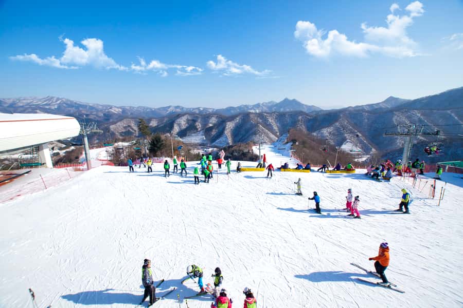 Seoul: Elysian Gangchon Winter Ski Resort Fun Day Tour - Sledding for a simpler snow day