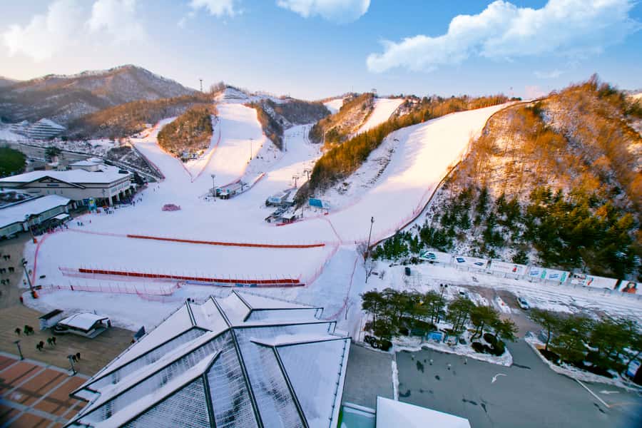 Seoul: Elysian Gangchon Winter Ski Resort Fun Day Tour - Staff support and the group experience
