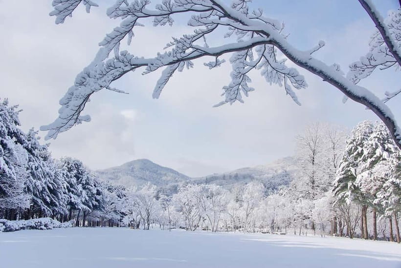 Seoul: Elysian Gangchon Winter Ski with Nami Island Day Tour - Key points at a glance