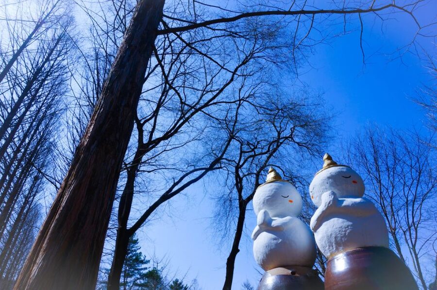 Seoul: Elysian Gangchon Winter Ski with Nami Island Day Tour - Who should book this tour