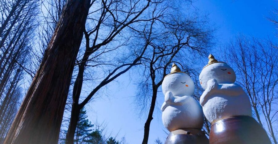 Seoul: Elysian Gangchon Winter Ski with Nami Island Day Tour - Nami Island from about 9:30 to 1:00