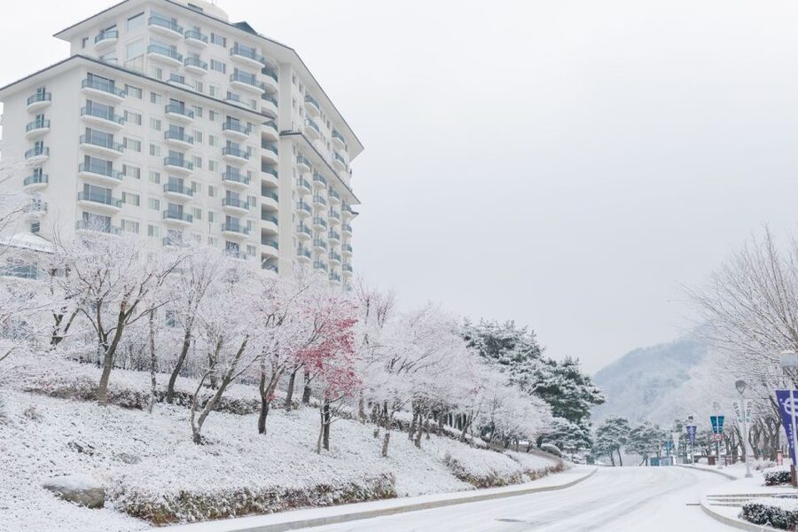 Seoul: Elysian Gangchon Winter Ski with Nami Island Day Tour - Choosing between five package options