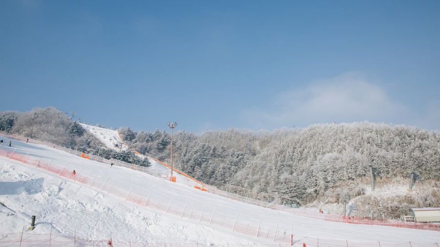 Seoul: Elysian Gangchon Winter Ski with Nami Island Day Tour - What to budget beyond the tour price