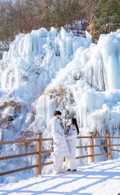 Seoul: Eobi Ice Valley, Alpaca World, Nami Island and More - Who should book this day trip