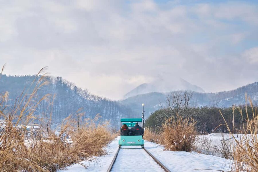 Seoul: Eobi Ice Valley, Alpaca World, Nami Island and More - Alpaca World: the most playful stop