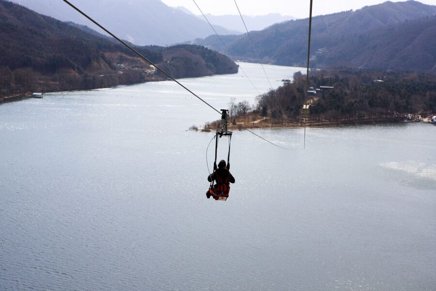 Seoul: Eobi Ice Valley, Alpaca World, Nami Island and More - Guides, communication, and the pace of the day