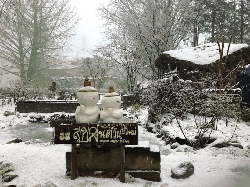 Seoul: Eobi+Nami+Hanbok(+RailBike or Strawberry Options)Tour - Nami Island, Korea’s famous wooded escape