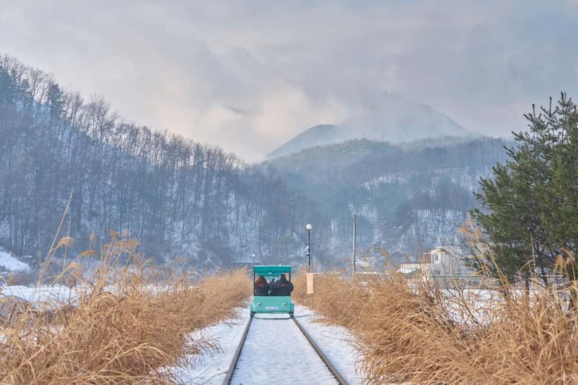 Seoul: Eobi Valley(Winter), Strawberry, Nami Island and Bike - A long day with four very different Korean experiences