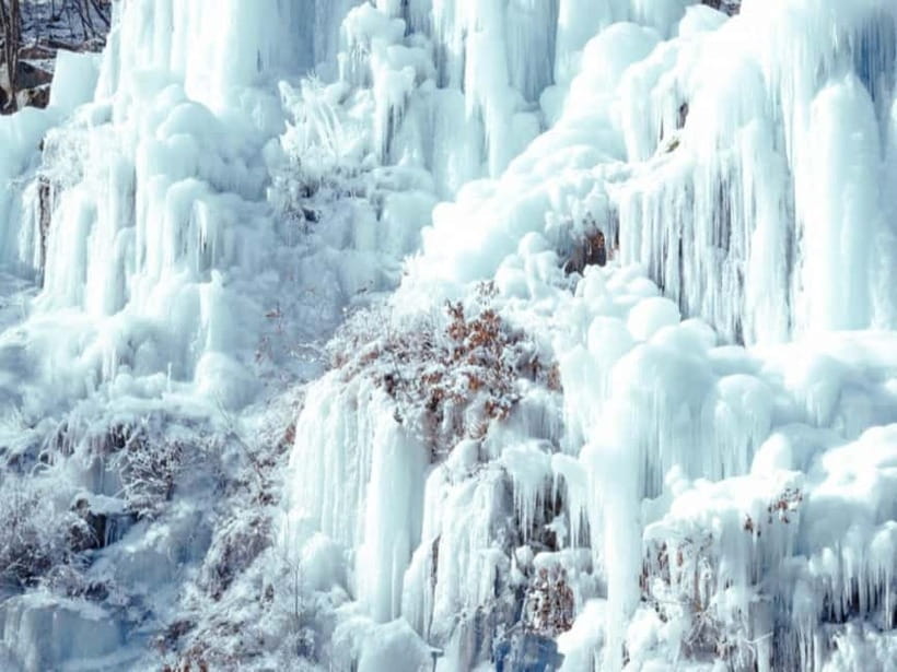 Seoul: Eobi Valley(Winter), Strawberry, Nami Island and Bike - Who will get the most from this tour?