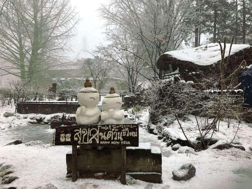 Seoul: Full-Day Winter Trip Ski Resort, Ice Valley, Namiseom - Key points to know before booking