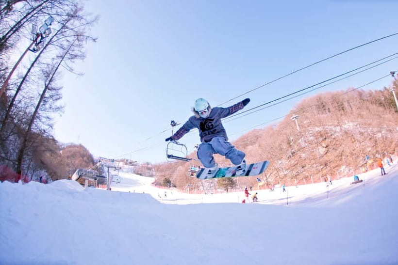 Seoul: Full-Day Winter Trip Ski Resort, Ice Valley, Namiseom - Nami Island brings romance after the ski slopes