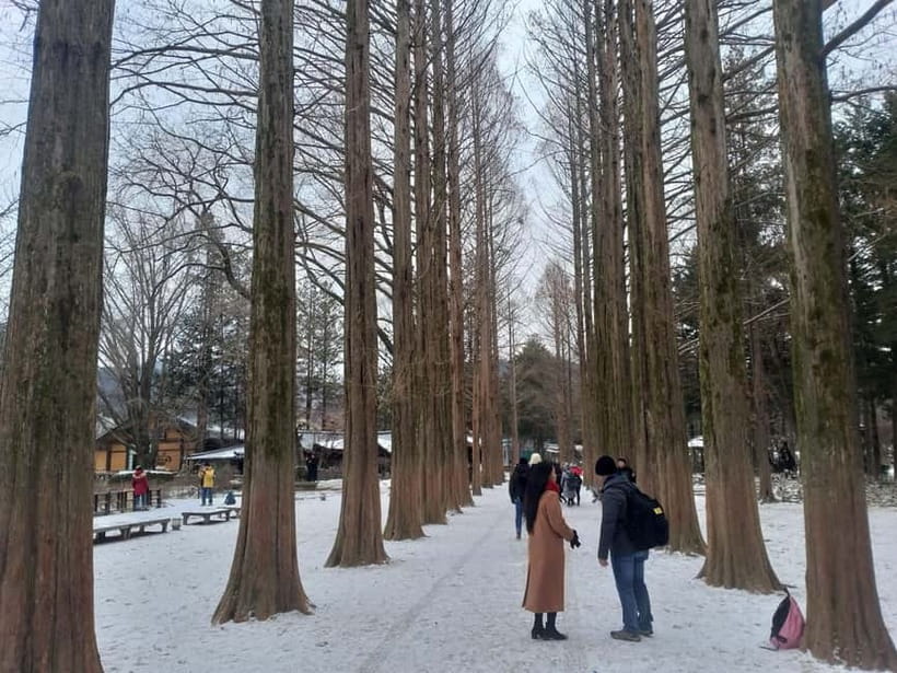 Seoul: Full-Day Winter Trip Ski Resort, Ice Valley, Namiseom - Should you book this tour?