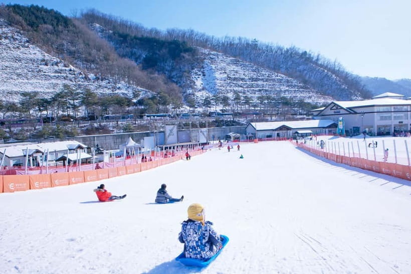 Seoul: Full-Day Winter Trip Ski Resort, Ice Valley, Namiseom - What you need to bring for the snow