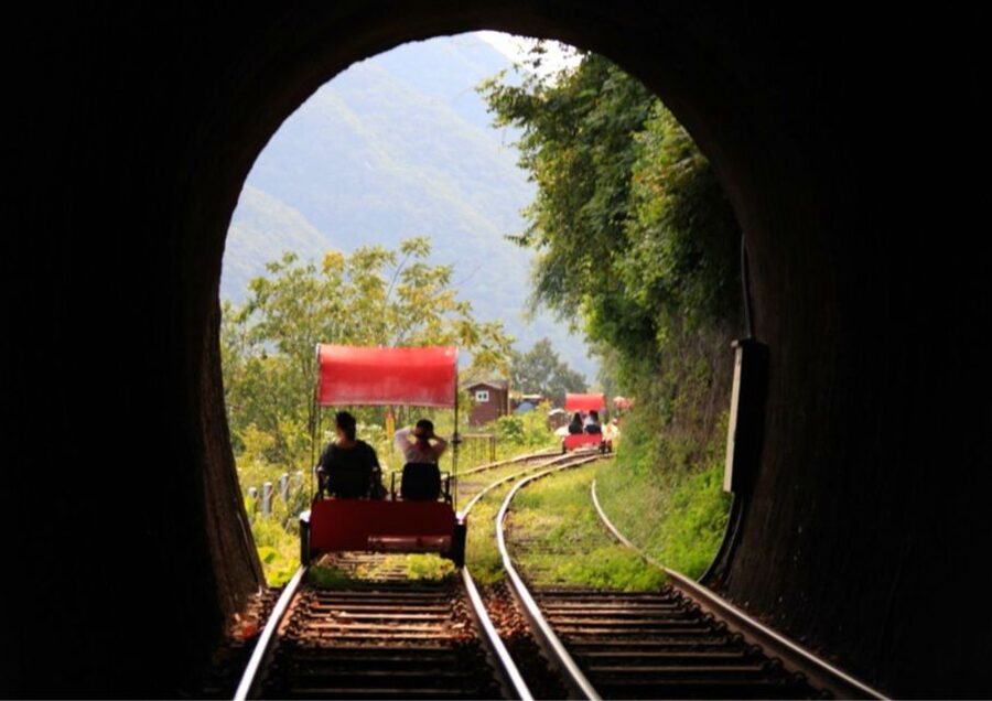 Seoul: Gangwon-do Day Trip with Alpaca World & Nami Island - The Garden of Morning Calm option