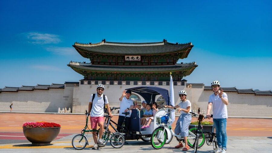 Seoul: Guided Small Group V.I.P Morning Pedicab Tour - Tongin Traditional Market brings lunch-sized flavor