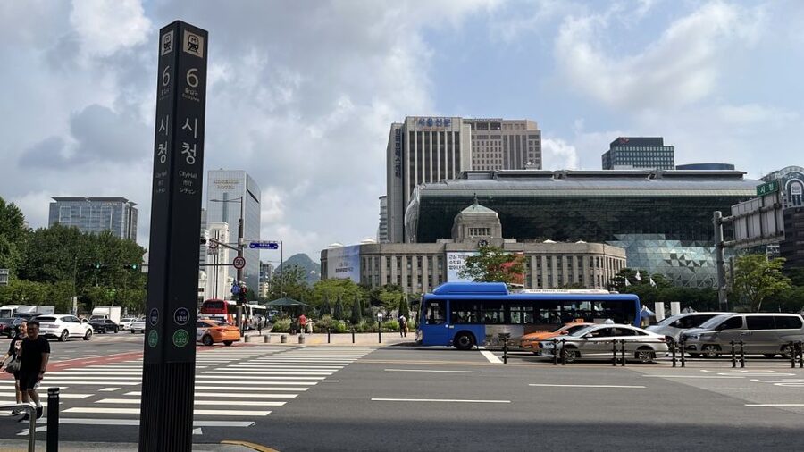 Seoul: Gyeongbok Palace and Bukchon Hanok Walking Tour - How to prepare for the three hours