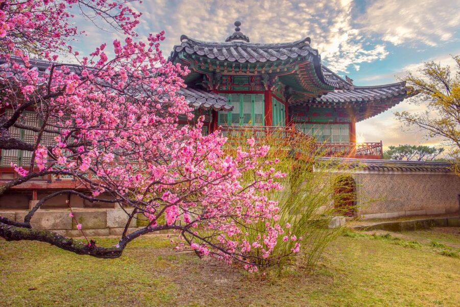 Seoul: Gyeongbok Palace and Bukchon Hanok Walking Tour - From City Hall Station to Gyeongbokgung Palace