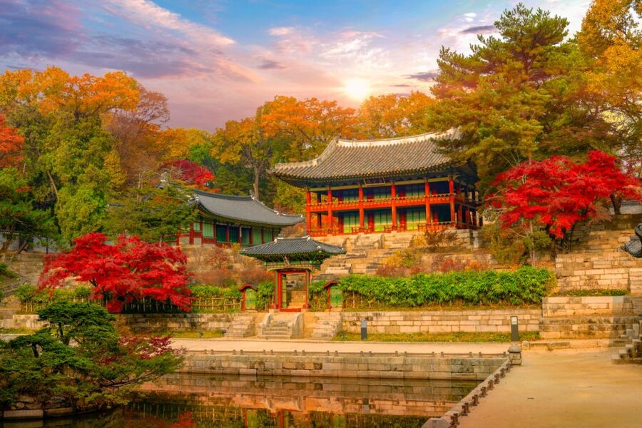 Seoul: Gyeongbok Palace and Bukchon Hanok Walking Tour - What the guides add
