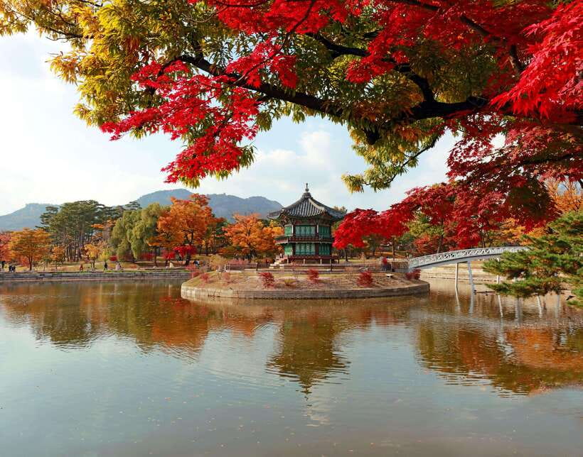 Seoul Highlights: Gyeongbok Palace, Insadong & N Seoul Tower - What this Seoul highlights tour is really trying to do