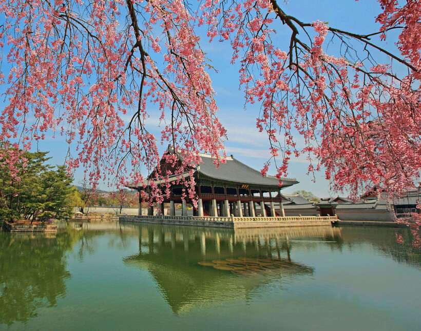 Seoul Highlights: Gyeongbok Palace, Insadong & N Seoul Tower - Walking through Gyeongbokgung Palace