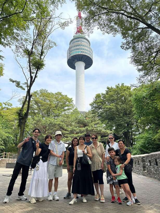 Seoul Highlights: Gyeongbok Palace, Insadong & N Seoul Tower - Adding the National Folk Museum