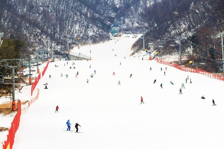 Seoul: Jisan Forest Winter Ski Day Tour with Basic Lesson - What the $19 starting price really means