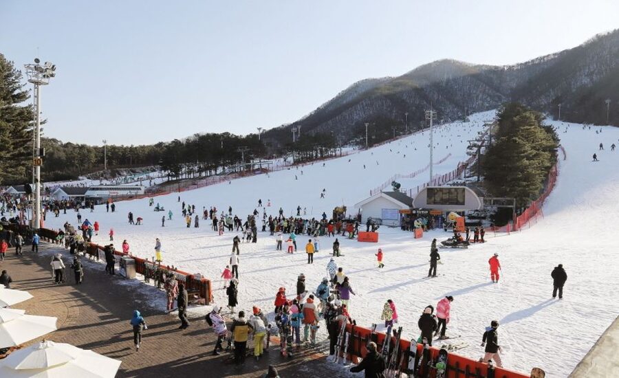 Seoul: Jisan Forest Winter Ski Day Tour with Basic Lesson - Timing, comfort, and the return to Seoul