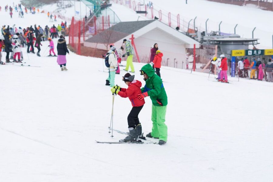 Seoul: Jisan Forest Winter Ski Day Tour with Basic Lesson - Who will get the most from this tour
