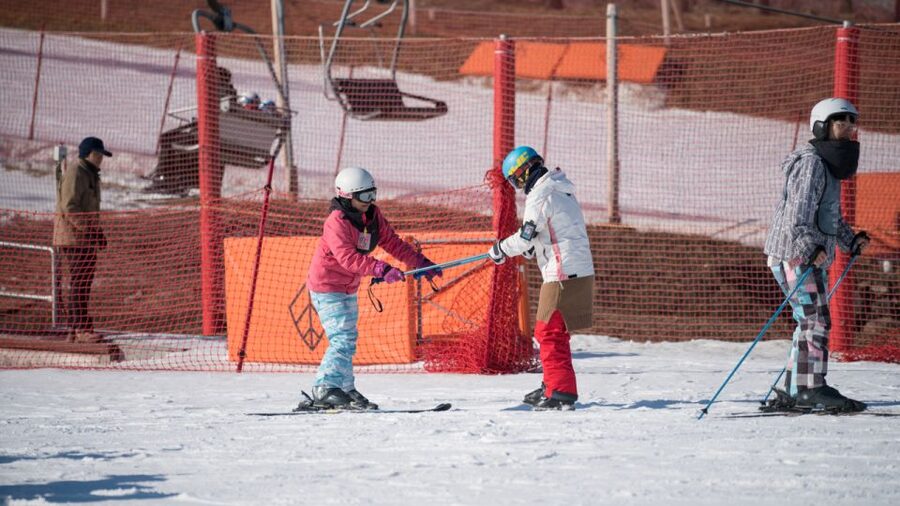 Seoul: Jisan Forest Winter Ski Day Tour with Basic Lesson - The one-hour lesson for first-time skiers