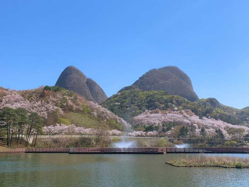 Seoul: Maisan Cherry Blossom and Jeonju Hanok Day Tour - Street food, hanbok, and your free spending