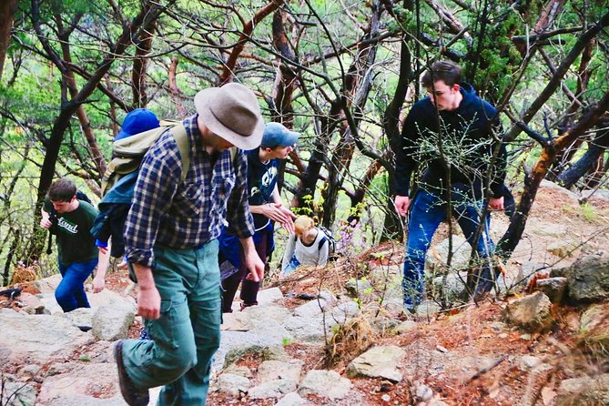 Seoul Mountain Hike: Temples, Folklore & Traditional Meal - Forest trails, open views, and a slower pace